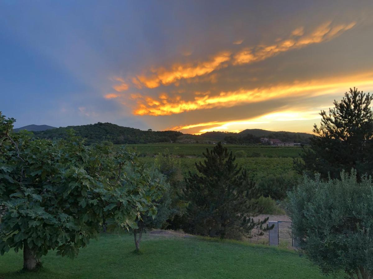 Gite De L'Auxineill Castelnou 外观 照片